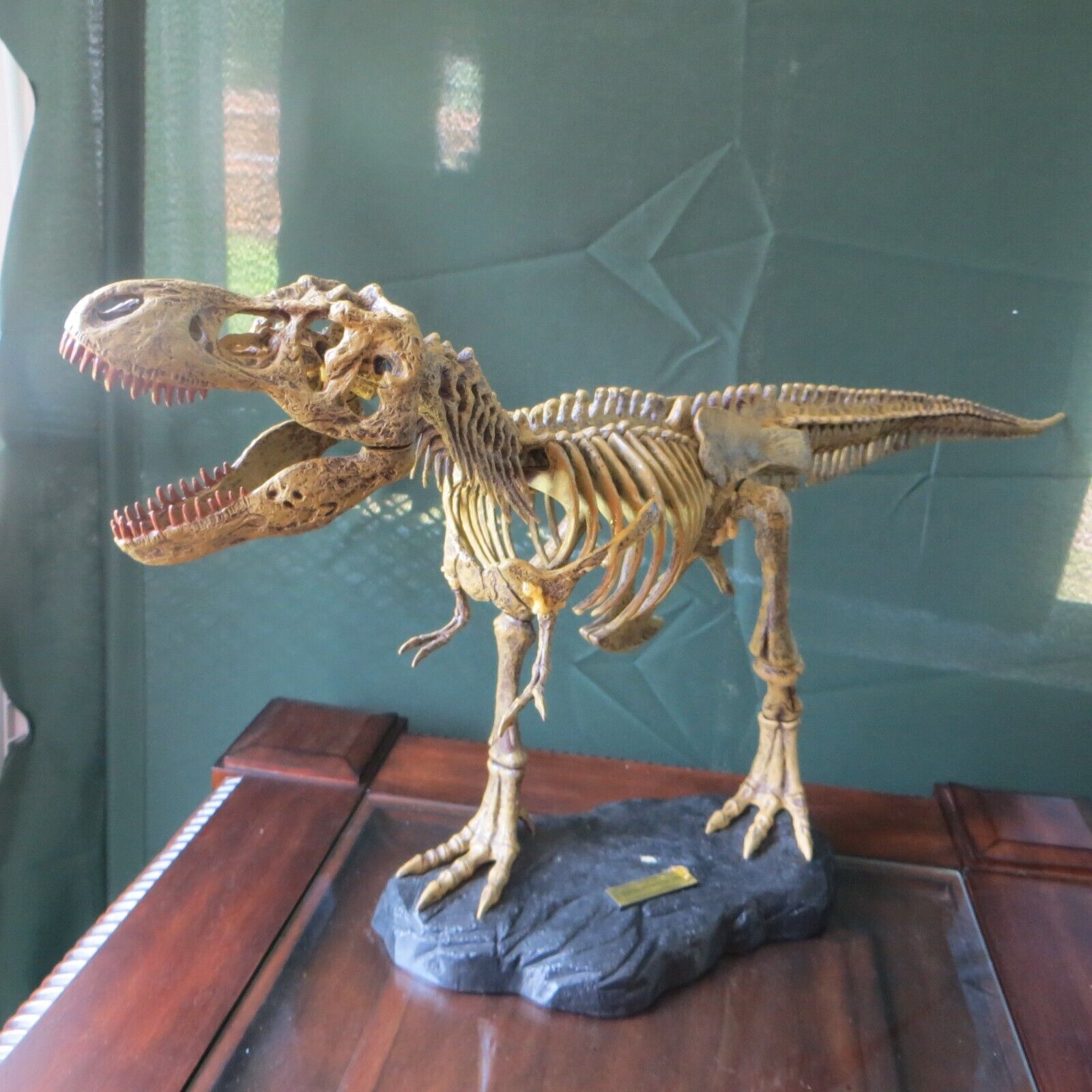 Geoworld Tyrannosaurus T Rex Dinosaur Skeleton Fossil Model 30