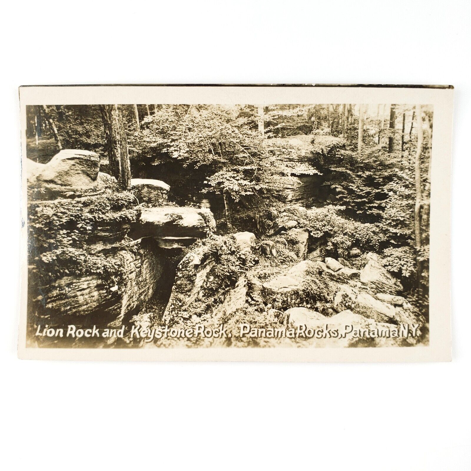 Panama Rocks New York RPPC Postcard 1920s Chautauqua County Lion Keystone B2039