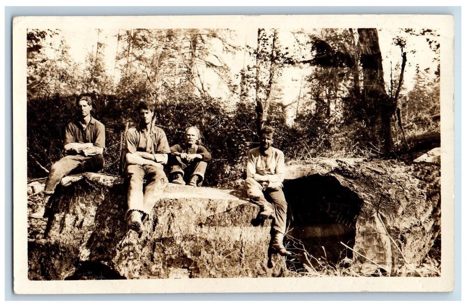 Redwood California CA Postcard RPPC Photo Logging Occupational c1910's Antique