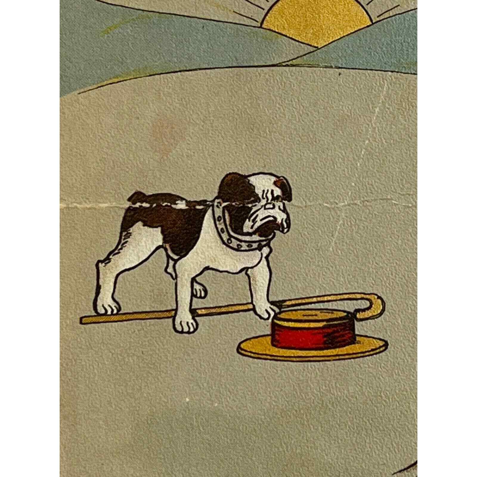 Antique 1910 Ephemera HSV Litho Co Postcard Humorous Bulldog W/ Man In Tree SEE