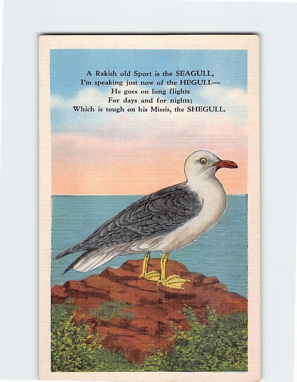 Postcard Seagull Poem Ocean Scene