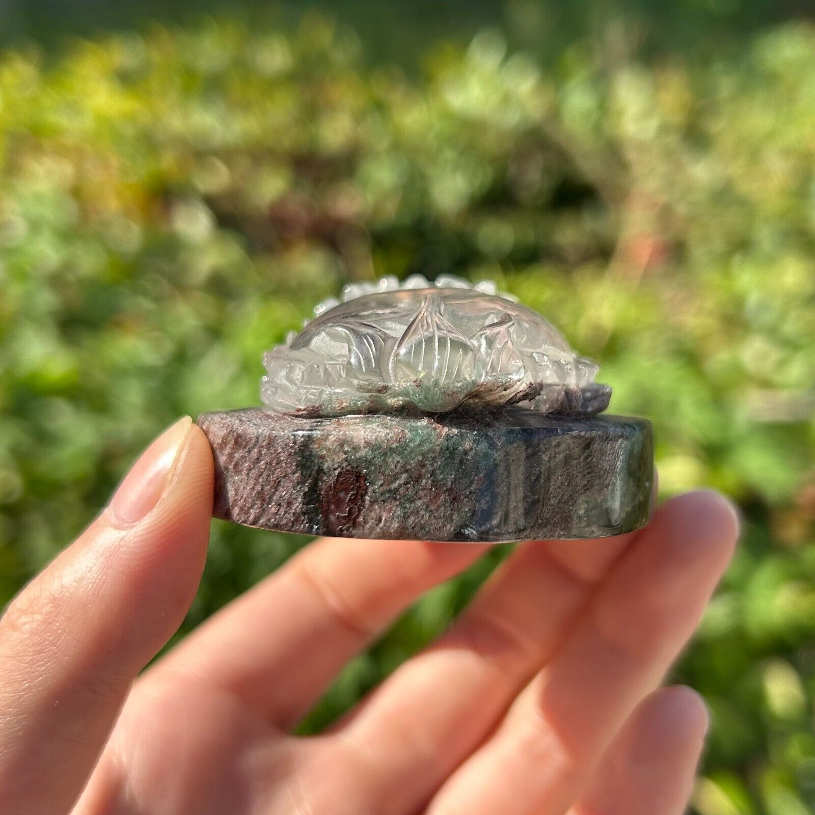 0.23LB 2.1\'\' Natural Garden Quartz Dragon Turtle Statue Quartz Decor Crystal