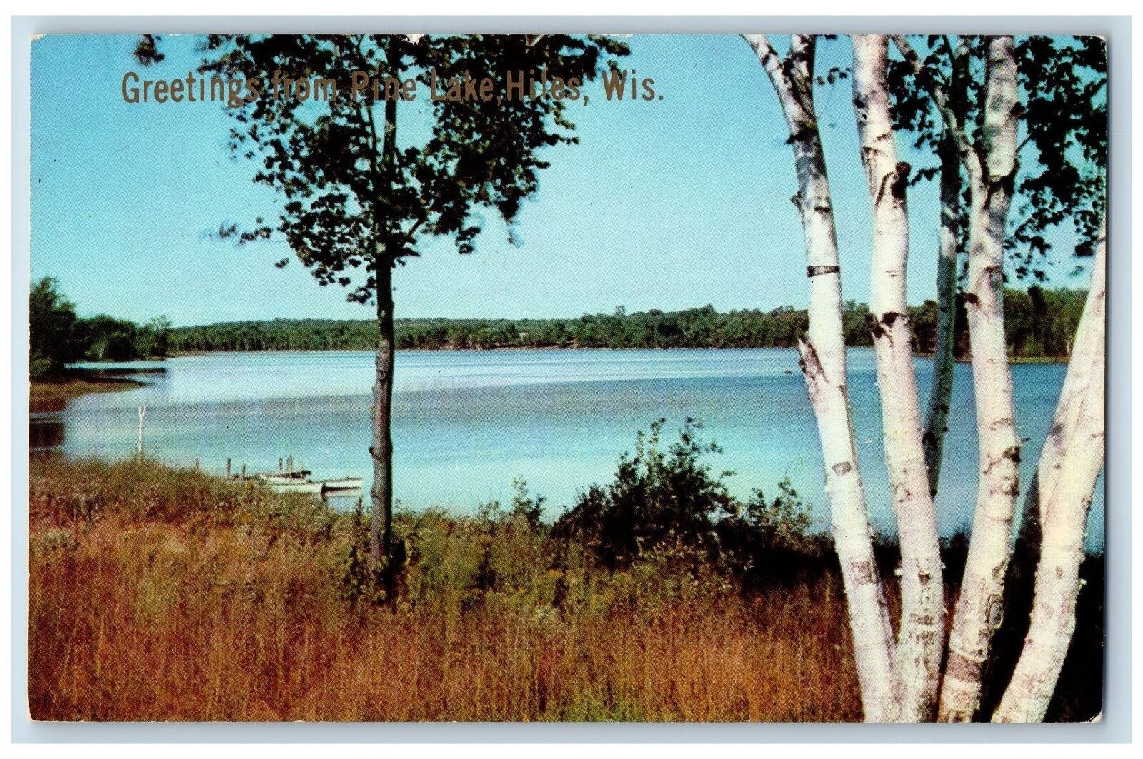 Hiles Wisconsin WI Postcard Greetings From Pine Lake Trees Scene c1960s Vintage
