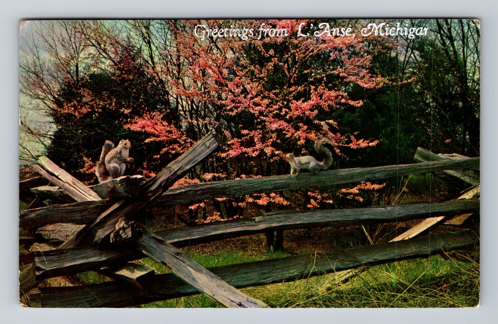 L'Anse MI-Michigan, Scenic Greetings, Country Fence, Souvenir Vintage Postcard