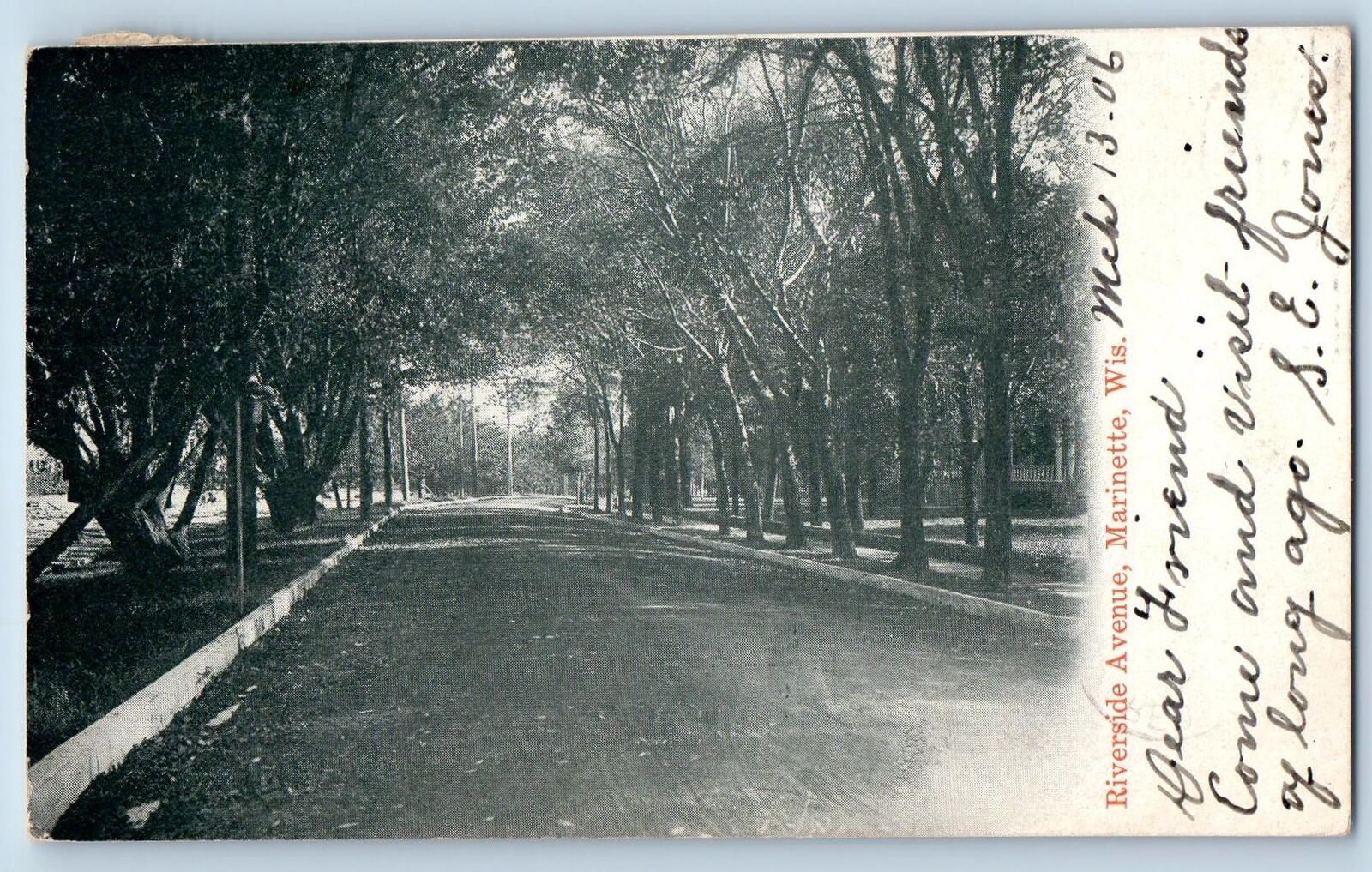 1906 Riverside Avenue Lined Trees Road Marinette Wisconsin WI Antique Postcard