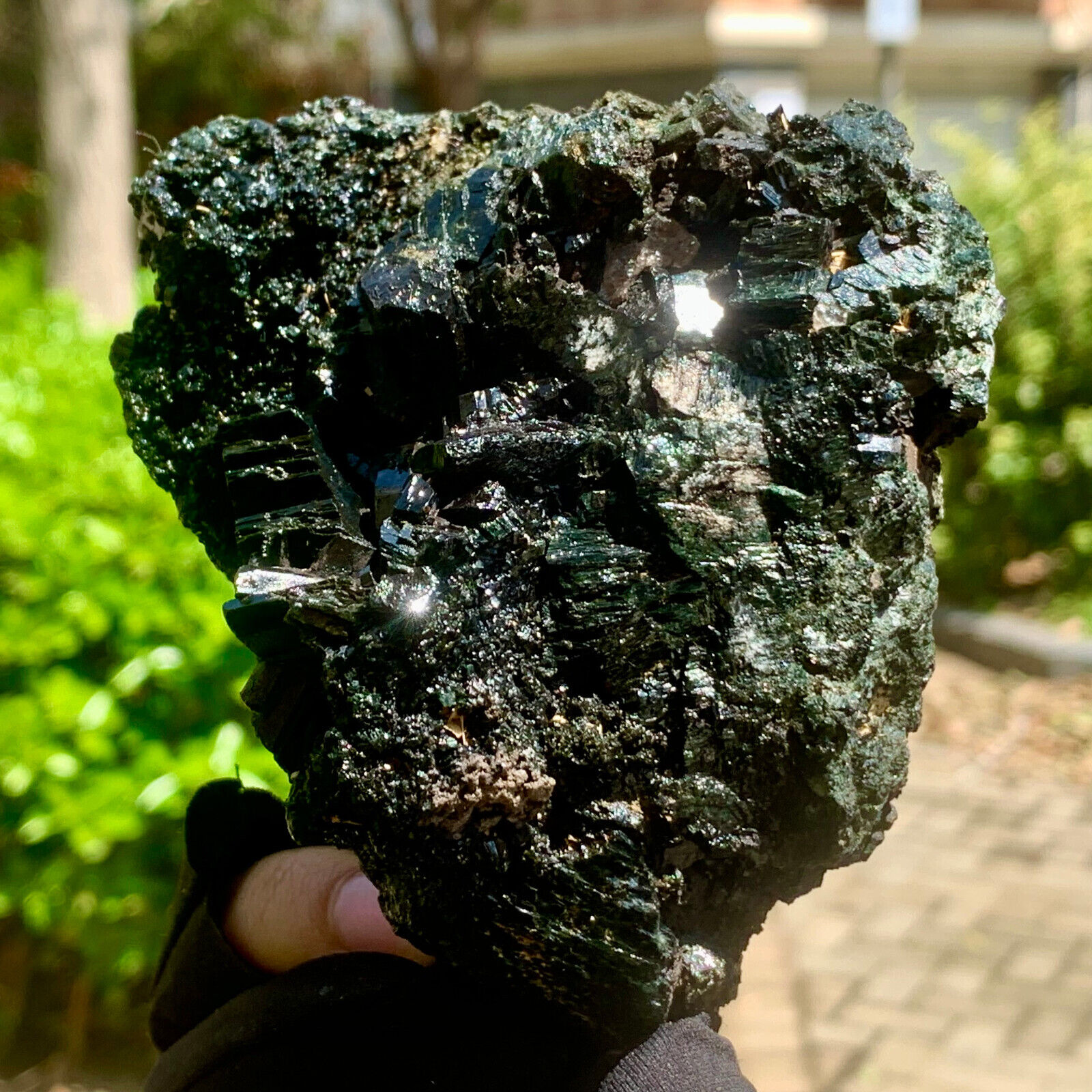 1.18LB Top natural black-green tourmaline quartz crystal mineral specimen
