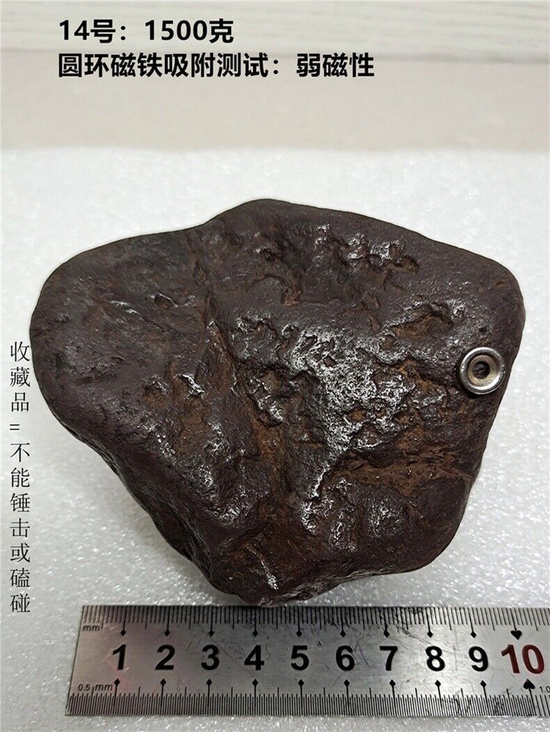 1500g Natural Iron Meteorite Specimen from   China   14#