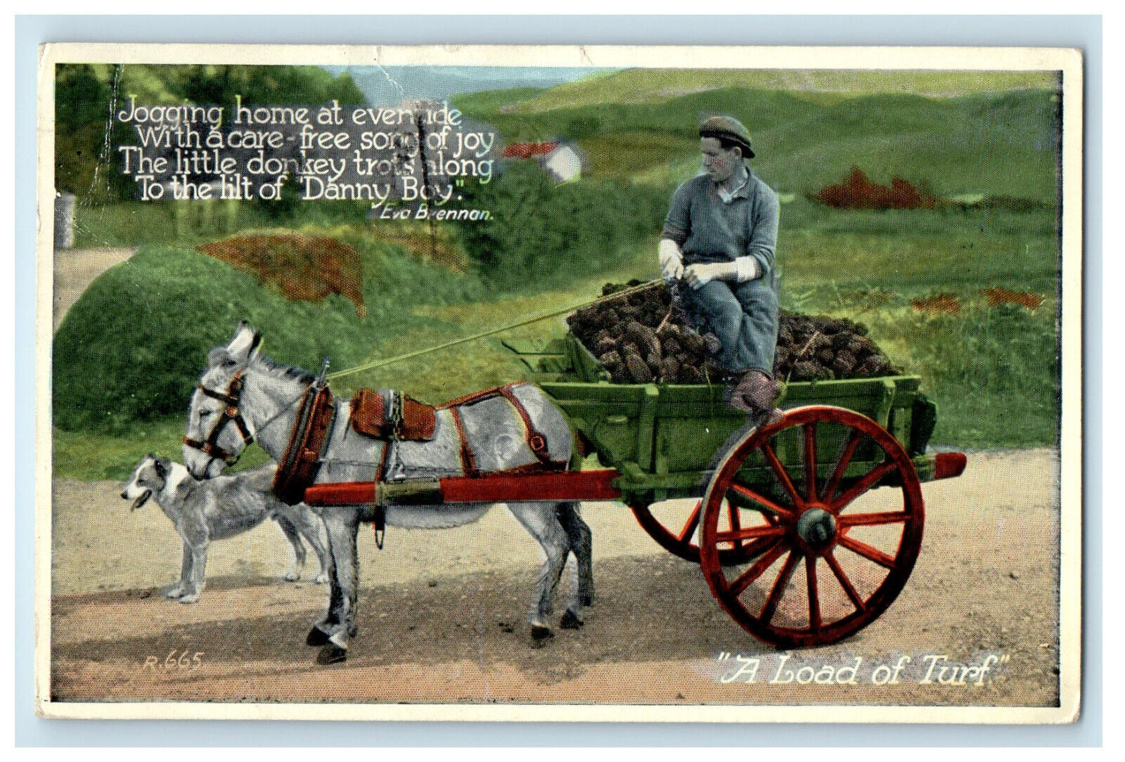 1954 Dog, Donkey Carrying A Load of Turf, Cork Ireland Carbo Colour Postcard