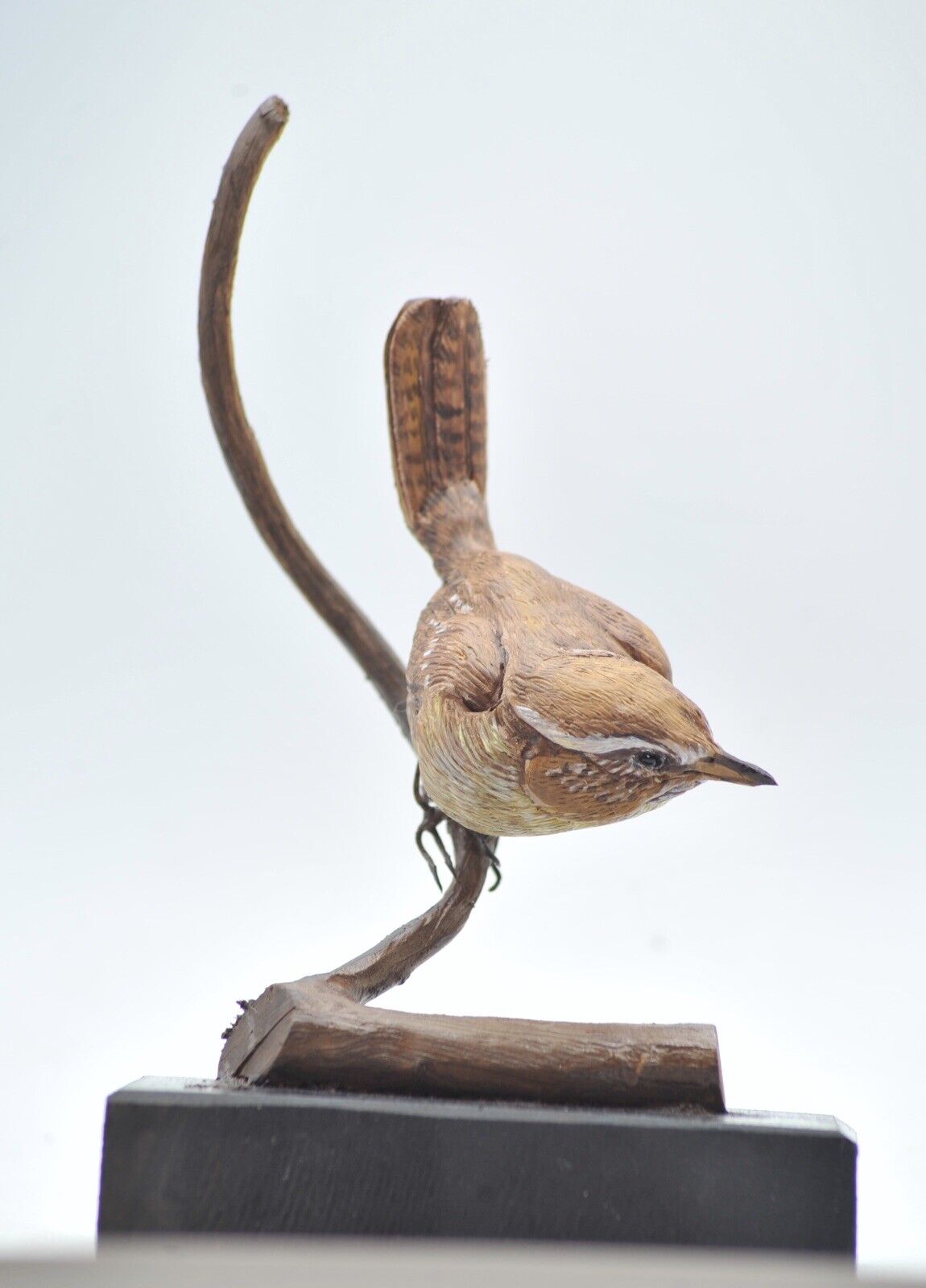 Carolina Wen Bird life size Wood Scuplture/Carving