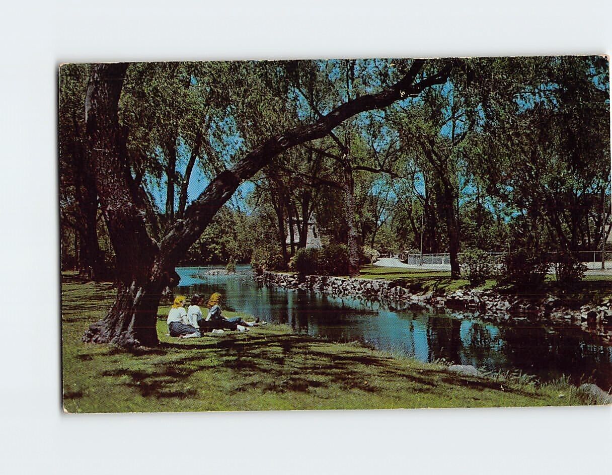 Postcard Riverside Park Rock River Watertown Wisconsin USA
