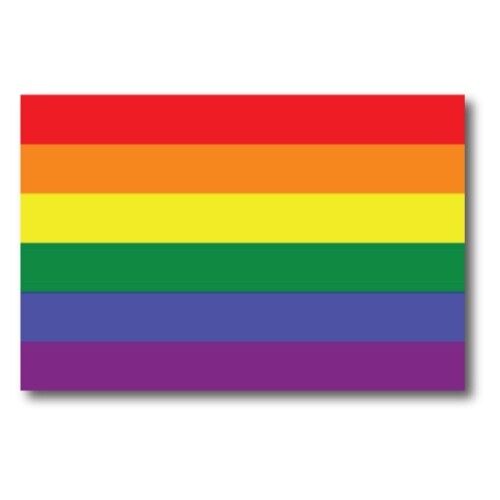 Magnet Me Up Gay Pride Rainbow Flag Car Magnet Decal-LGBT-4x6-Waterproof Lesbian