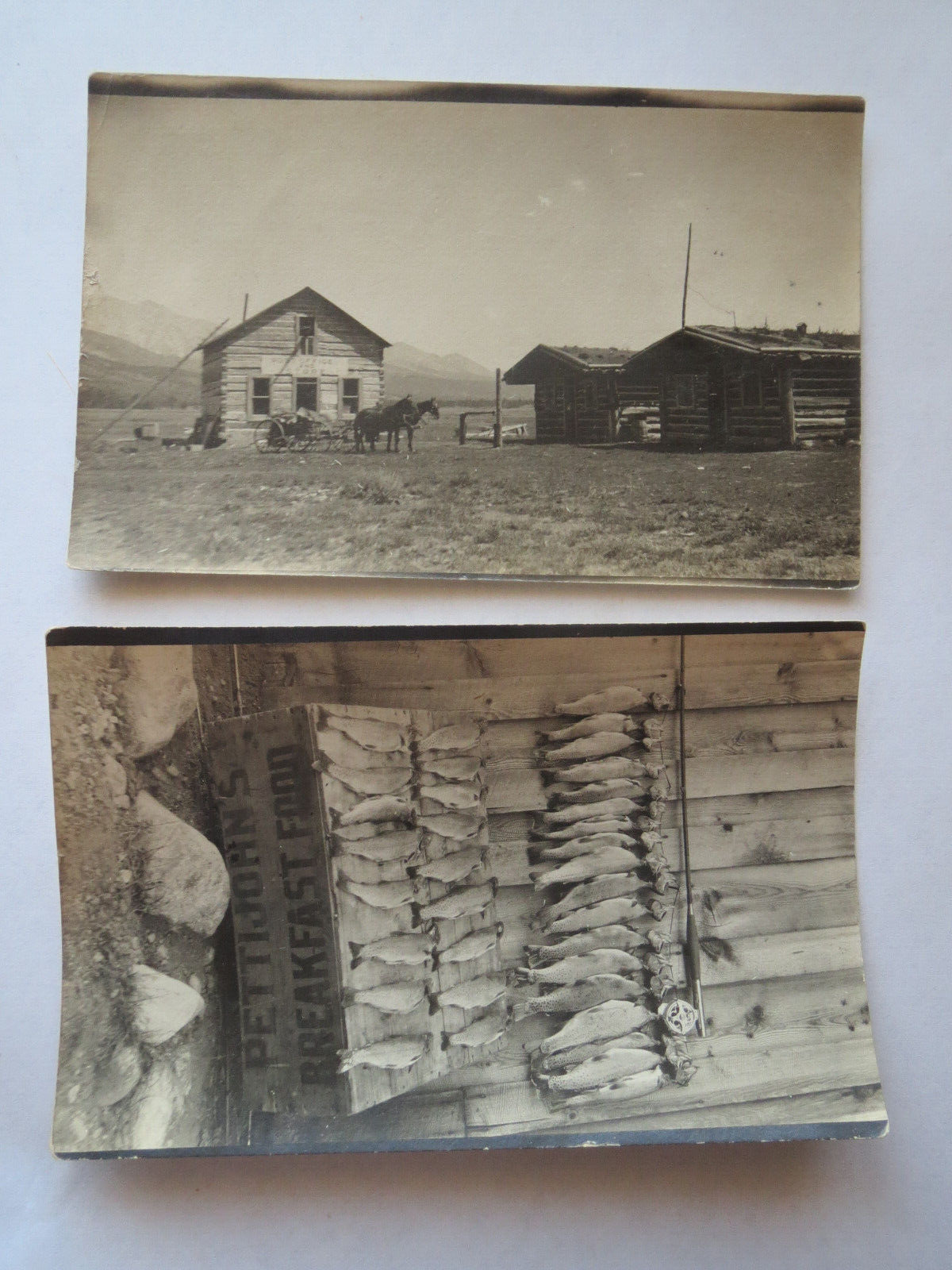 2 RPPC Colorado Post Office and fish catch near Aspen  early 1900s