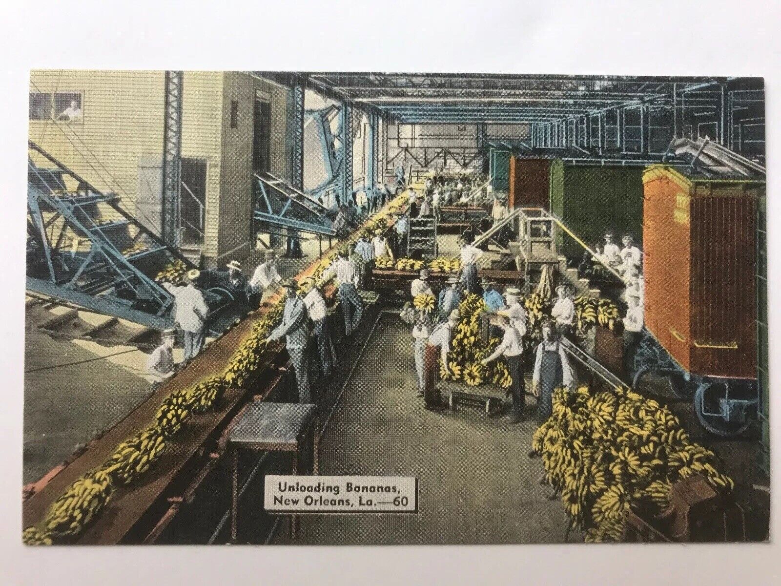 Vintage LA New Orleans Port Unloading Bananas Conveyer Belt Postcard c1930's