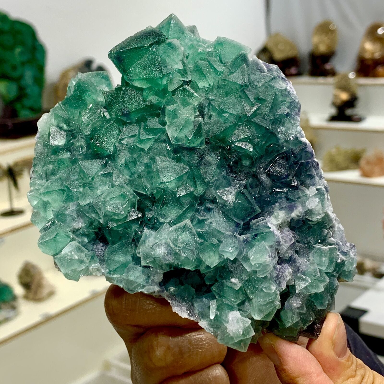 1.4LB Rare transparent GREEN cubic fluorite mineral crystal sample/China
