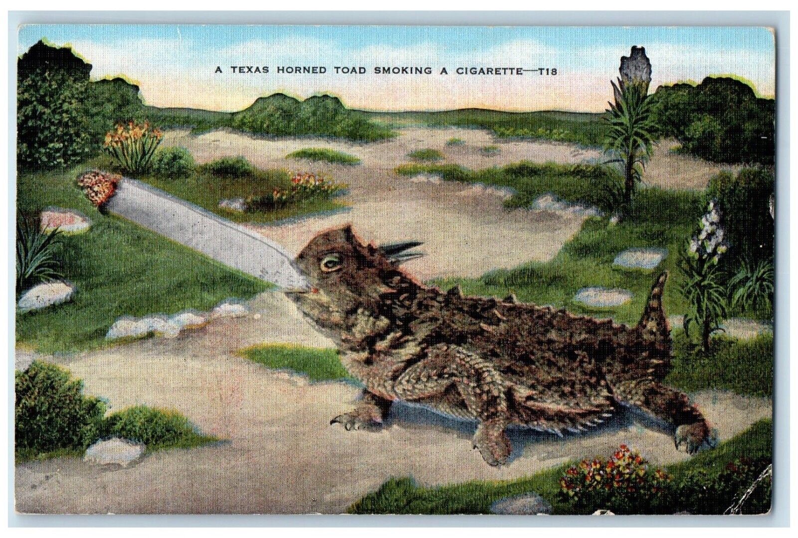 Texas TX Postcard Horned Toad Smoking A Cigarette Animals c1940\'s Vintage