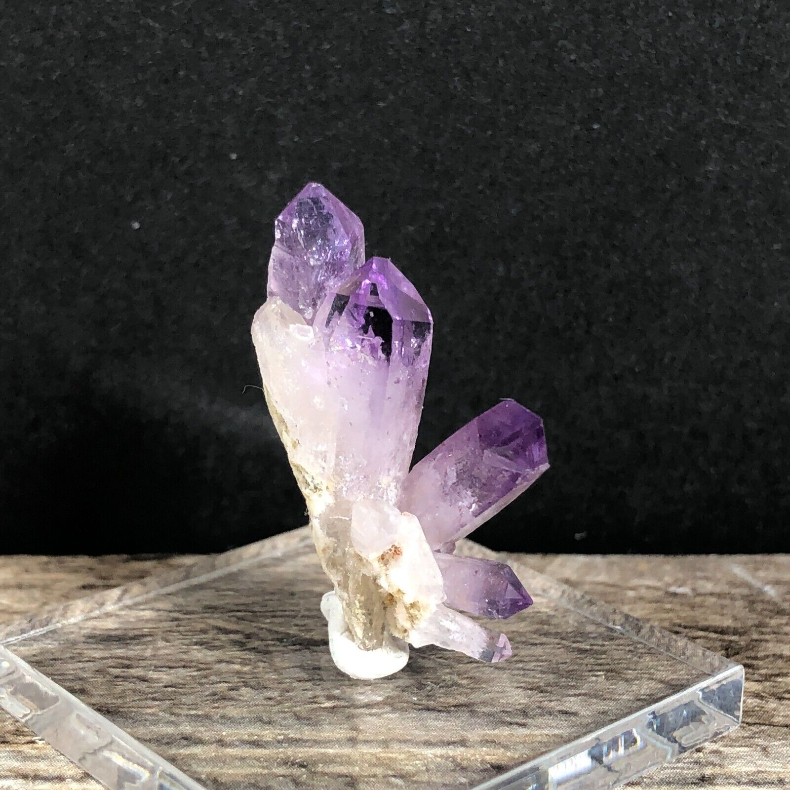 Vera Cruz Amethyst Crystal Cluster Mineral Thumbnail Specimen Base & Putty 77-Y