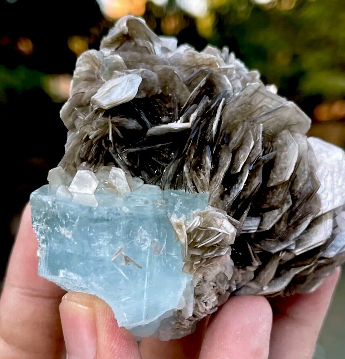 338 Gram Natural Blue Aquamarine Crystal With Muscovite Combine Specimen
