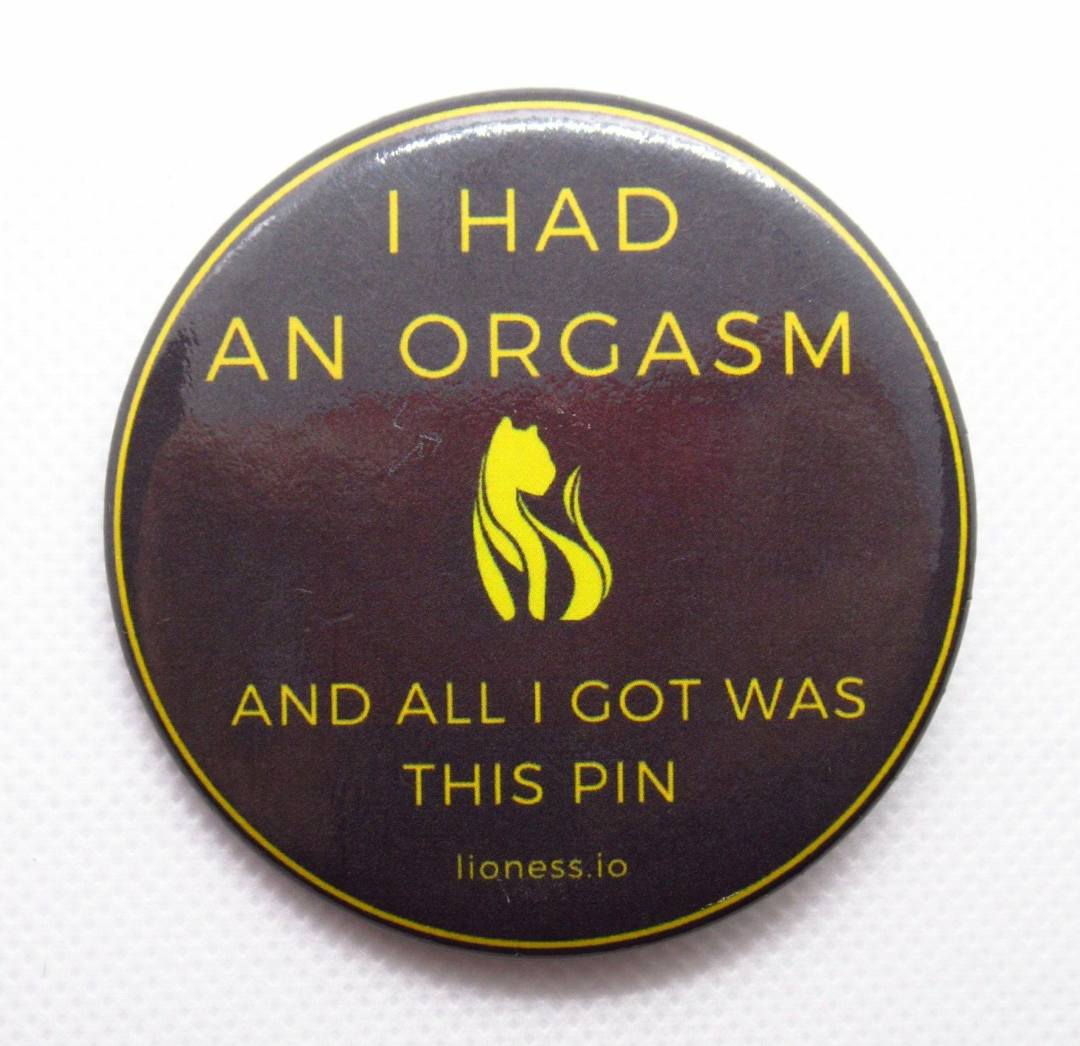 I Had An *rgasm & All I Got Was This Pin - Humor - Lion - Pinback Button