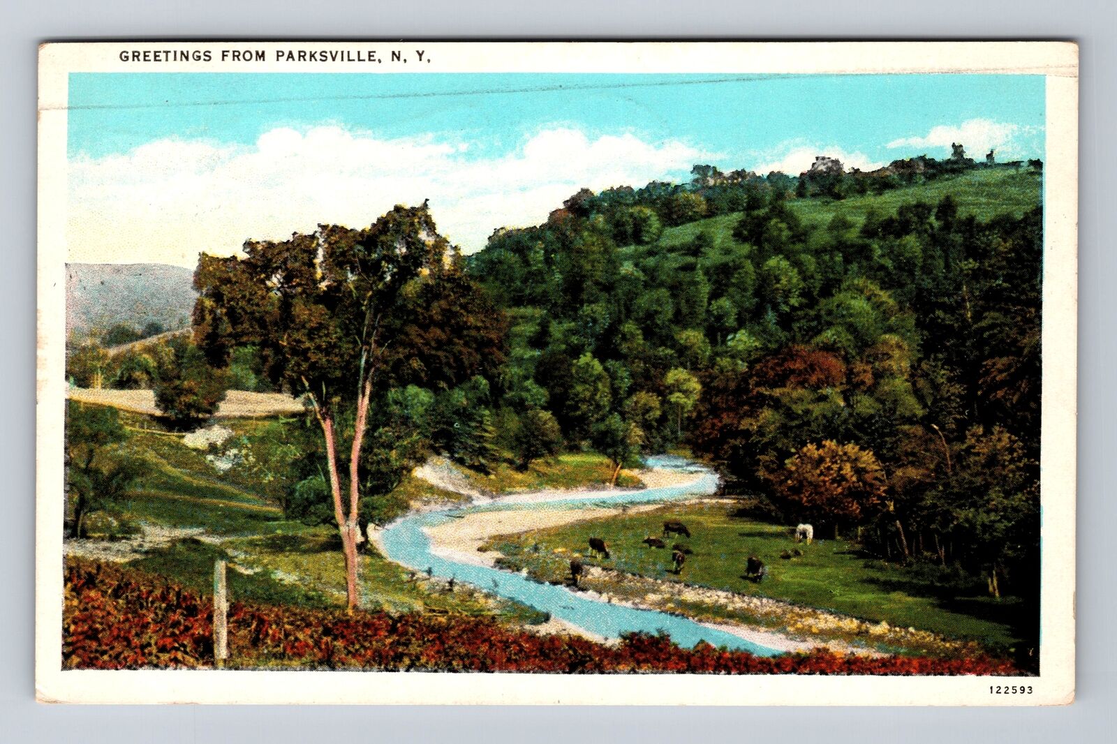 Parksville NY-New York, Scenic Countryside Greetings, Antique Vintage Postcard