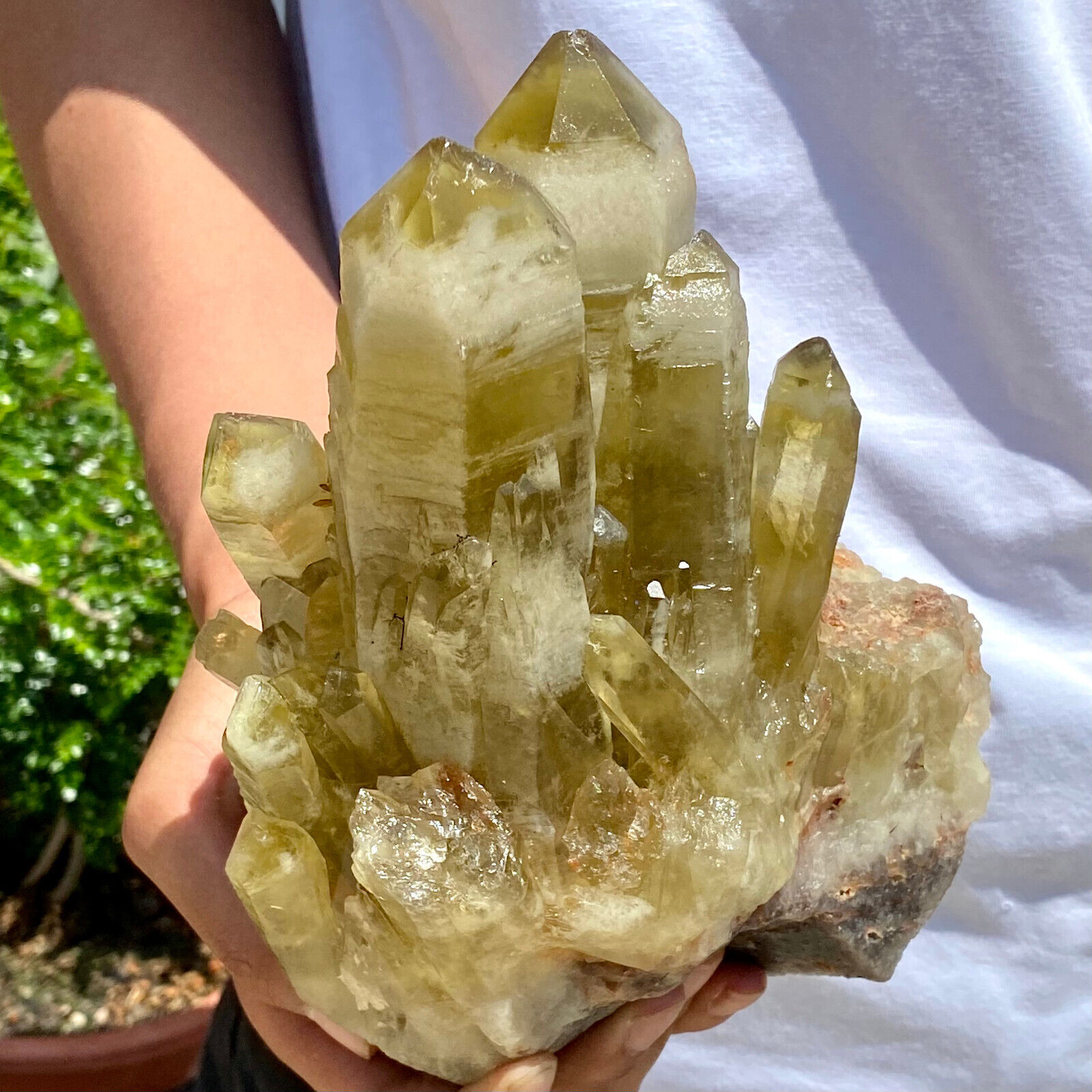 5.67LB Natural yellow Crystal Himalayan quartz cluster /mineralsls