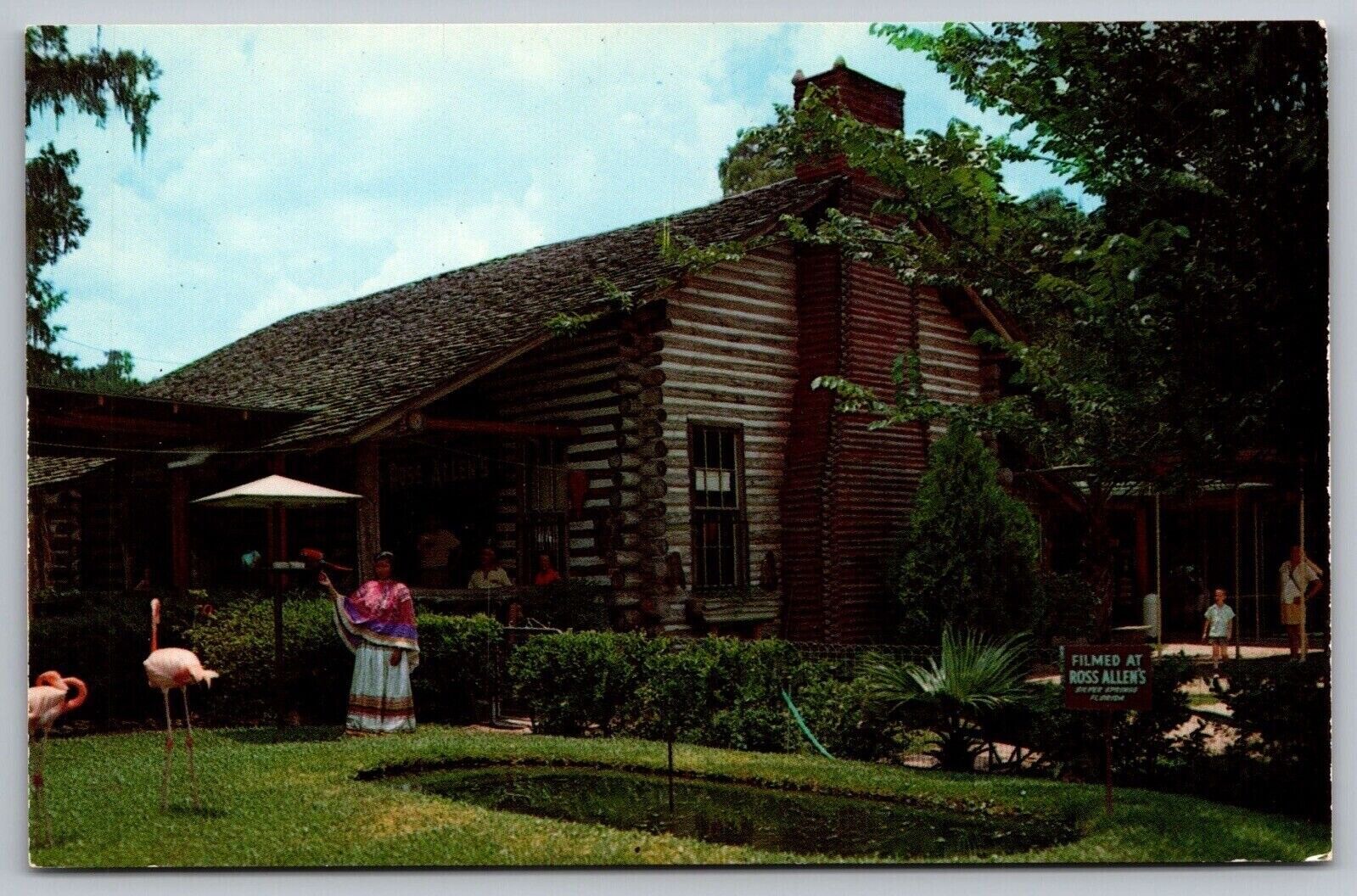 Florida Silver Springs Pioneer Log Cabin Gift Shop Main Entrance VTG Postcard