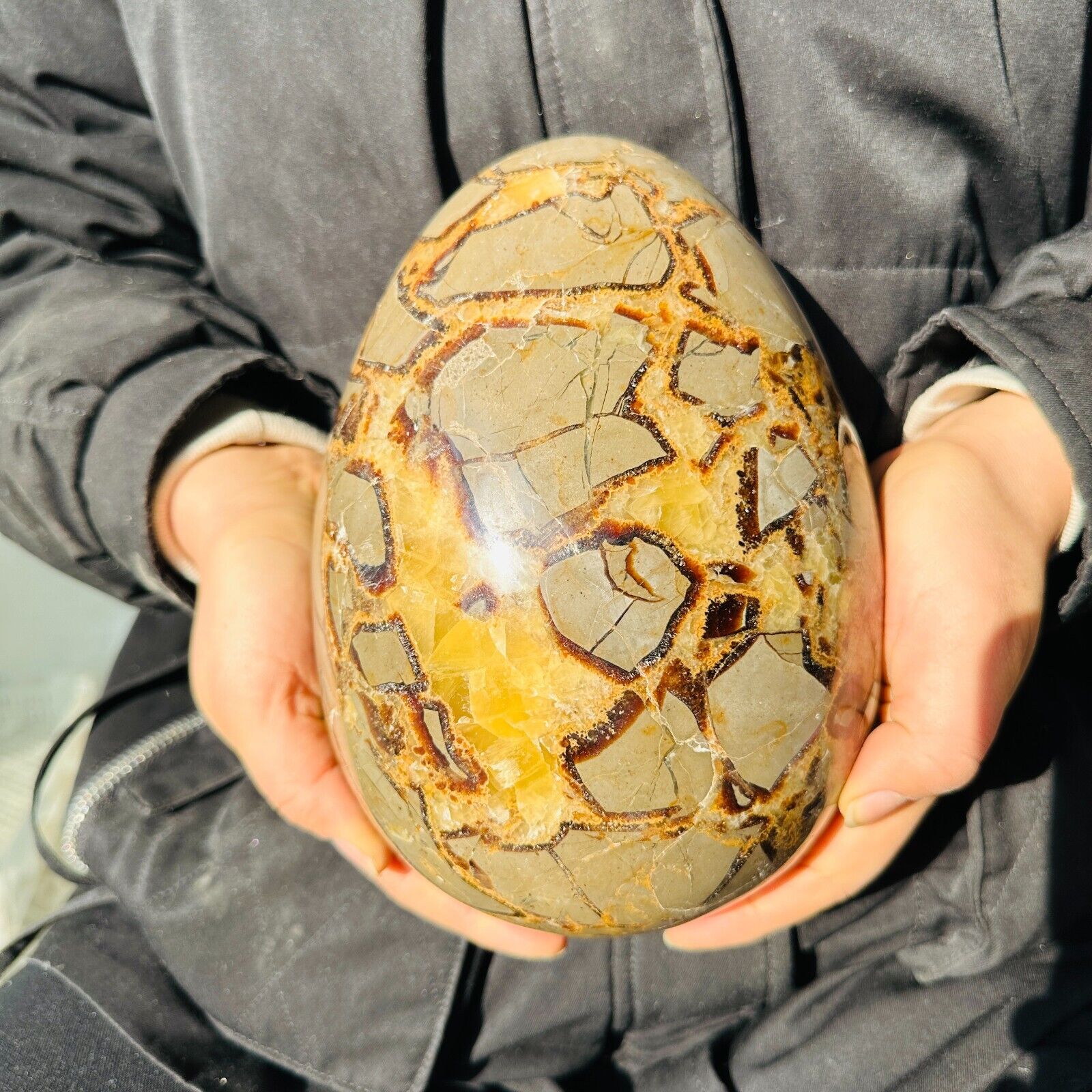 13.64LB TOP Natural Dragon Septarian Quartz carved Crystal egg specimen Healing