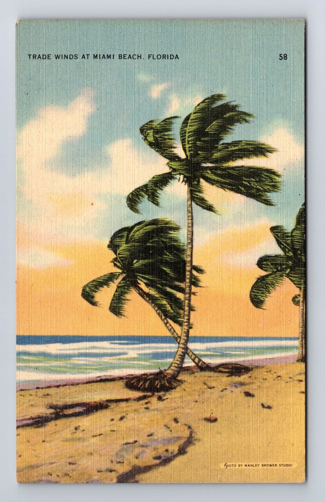 Miami Beach FL-Florida, Trade Winds, Antique, Vintage Postcard