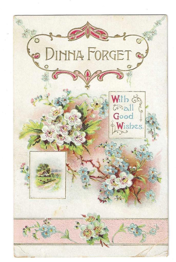 Postcard Dinna Forget Divided Back 1907-1915 Germany Flowers  Embossed EUC