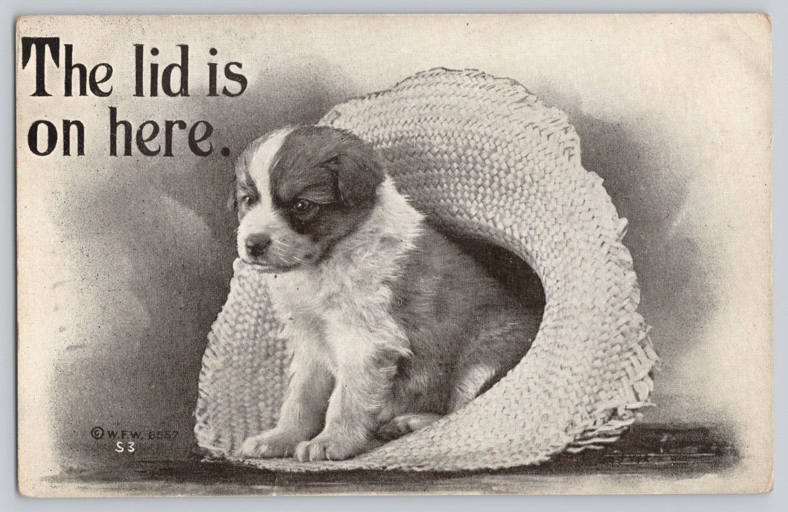 Postcard Vintage Greetings Puppies in a hat c 1910