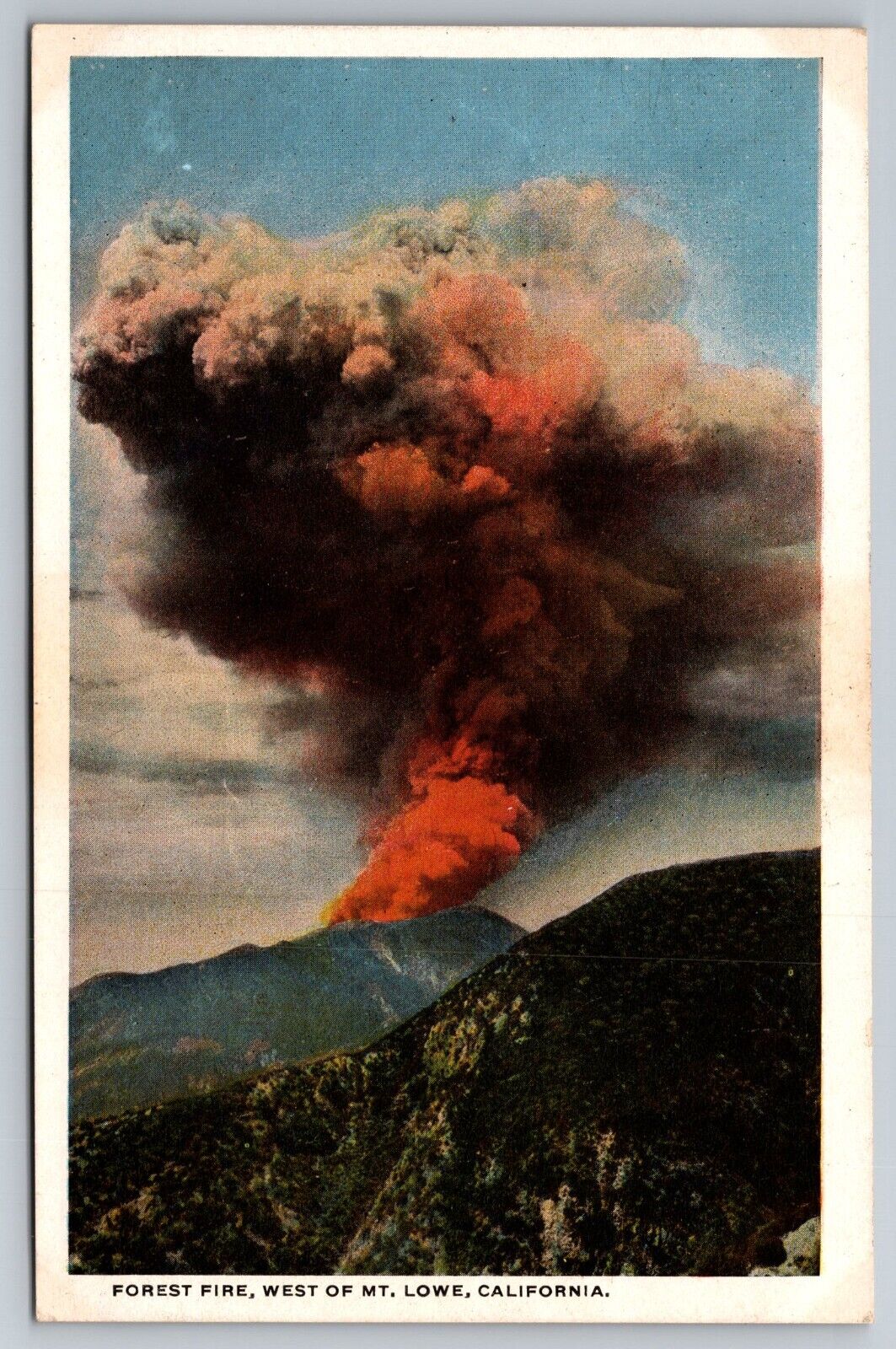 Forest Fire West of Mt Lowe California Postcard