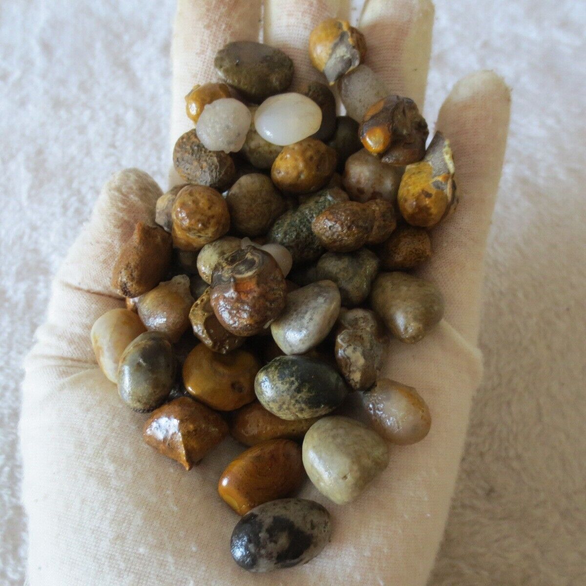 G614  150g Natural Desert Gobi  Agate Suiseki Rocks Stones Minerals Specimen