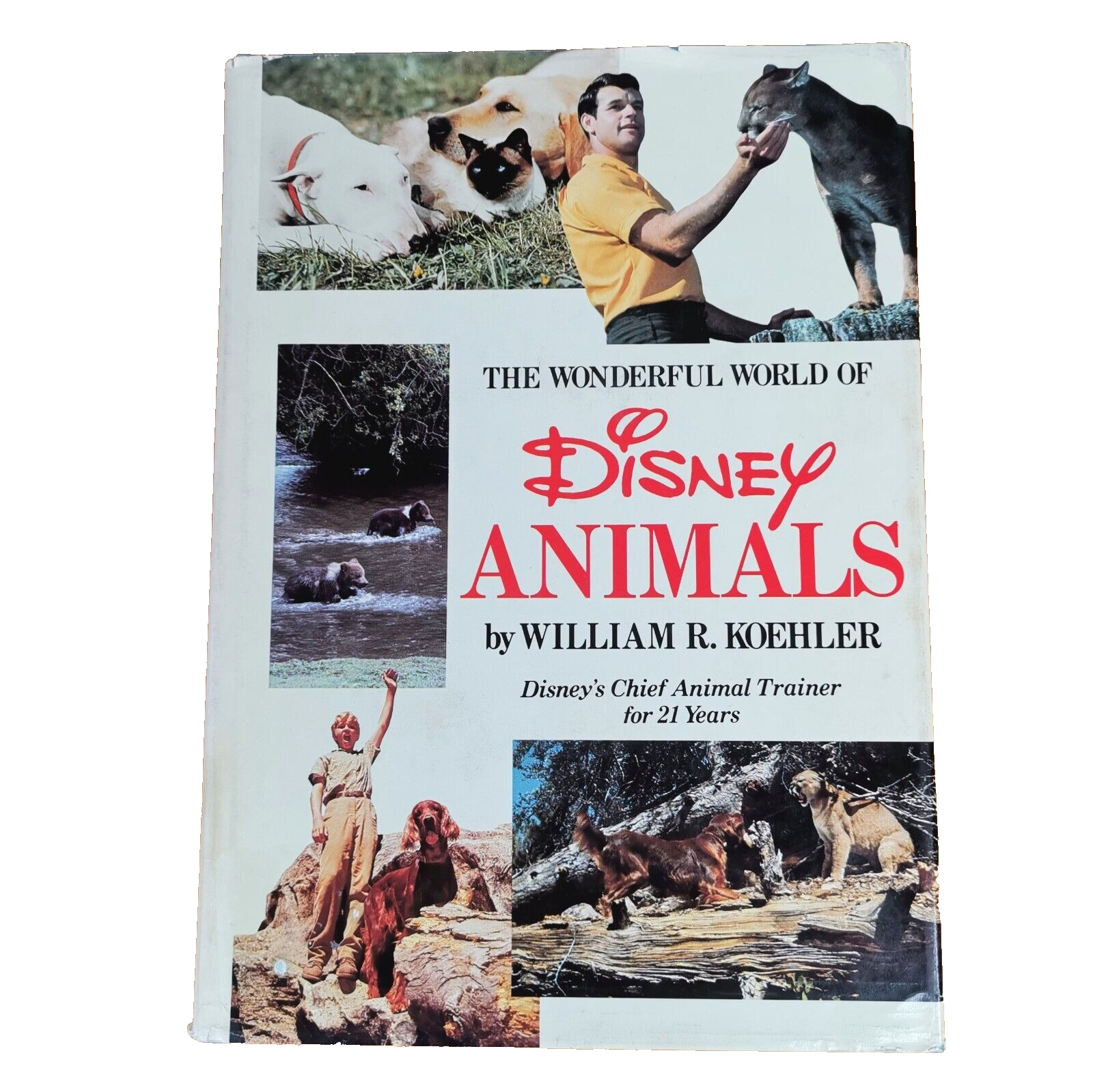 The Wonderful World of Disney Animals by William R Koehler HCDJ  Vintage 1979