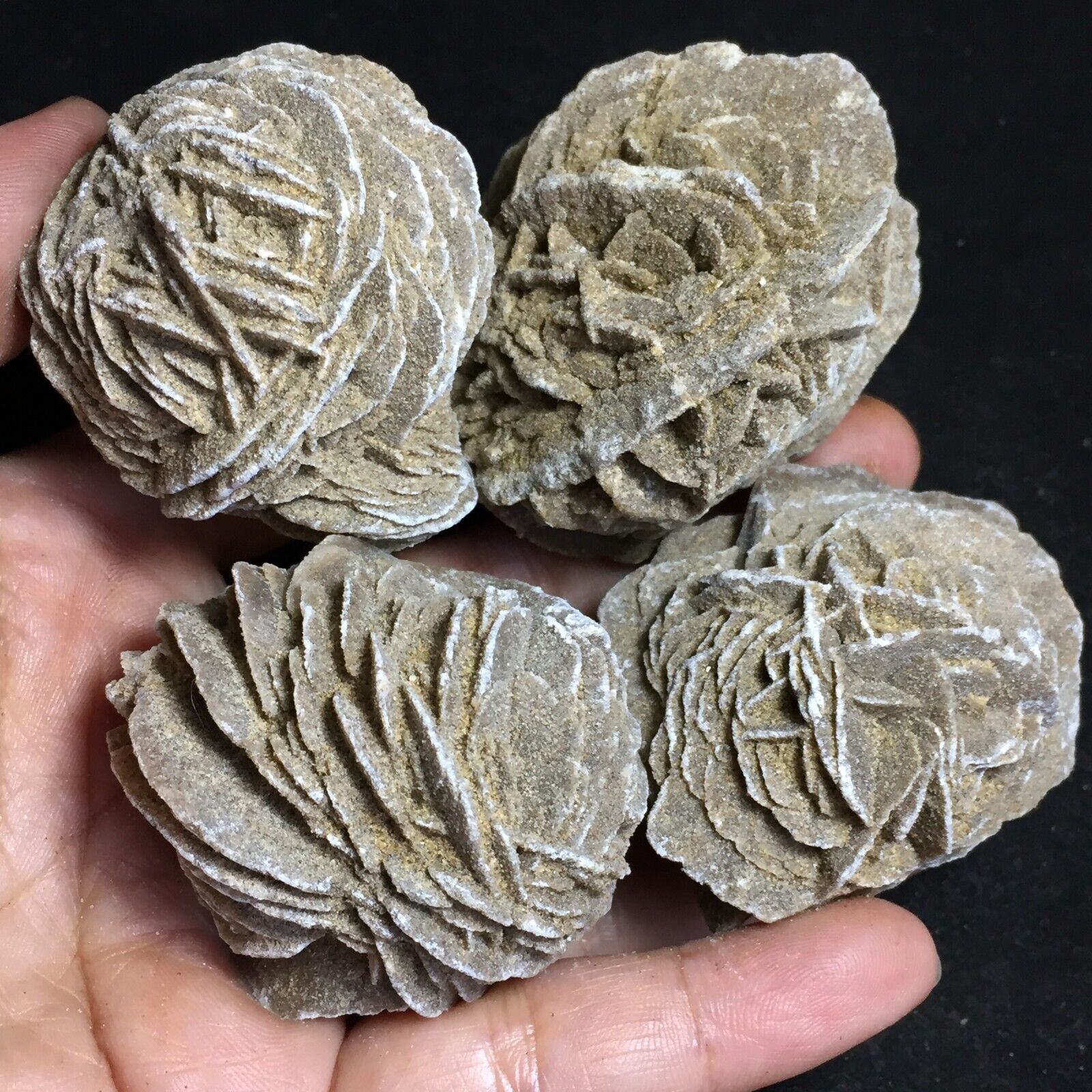 276g 4pcs Natural Desert Rose Stone Quartz Crystal Carved Specimen Ore Reiki 153