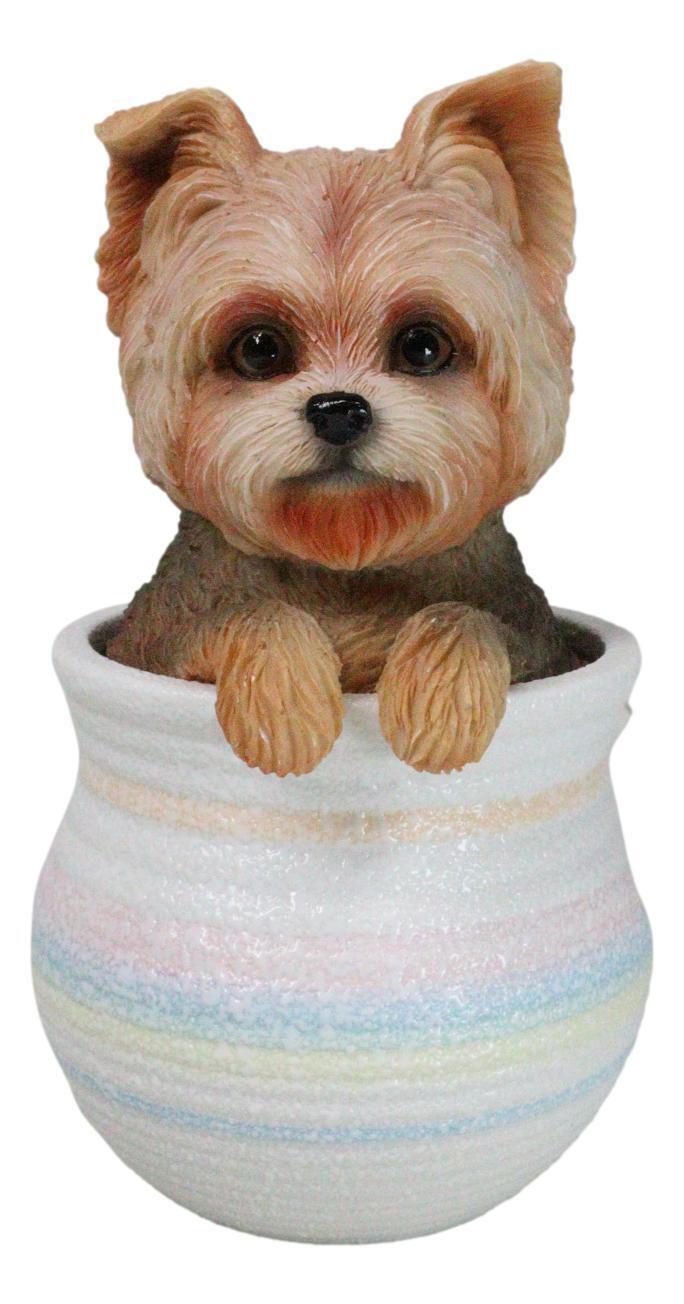 Yorkie Yorkshire Terrier Teacup Puppy Dog Figurine With Glass Eyes Pup In Pot