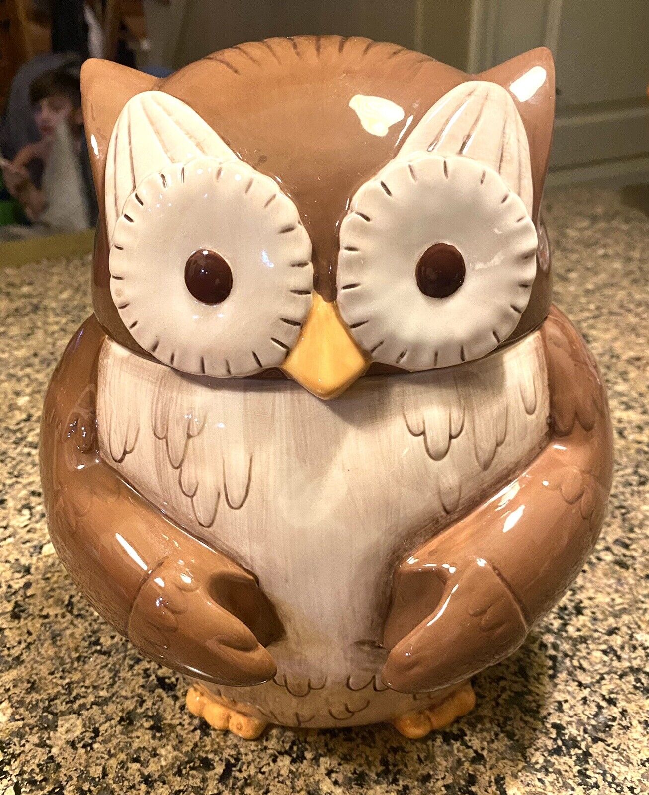 Grasslands Road Brown Owl Ceramic Cookie Jar 9.5”