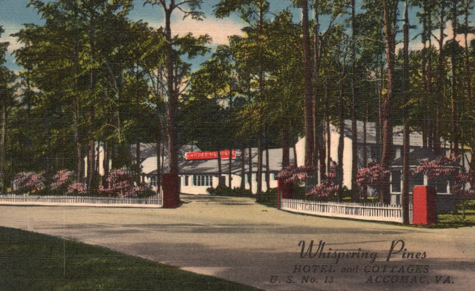 Postcard VA Accomac Whispering Pines Hotel & Cottages 1951 Linen Vintage PC H571