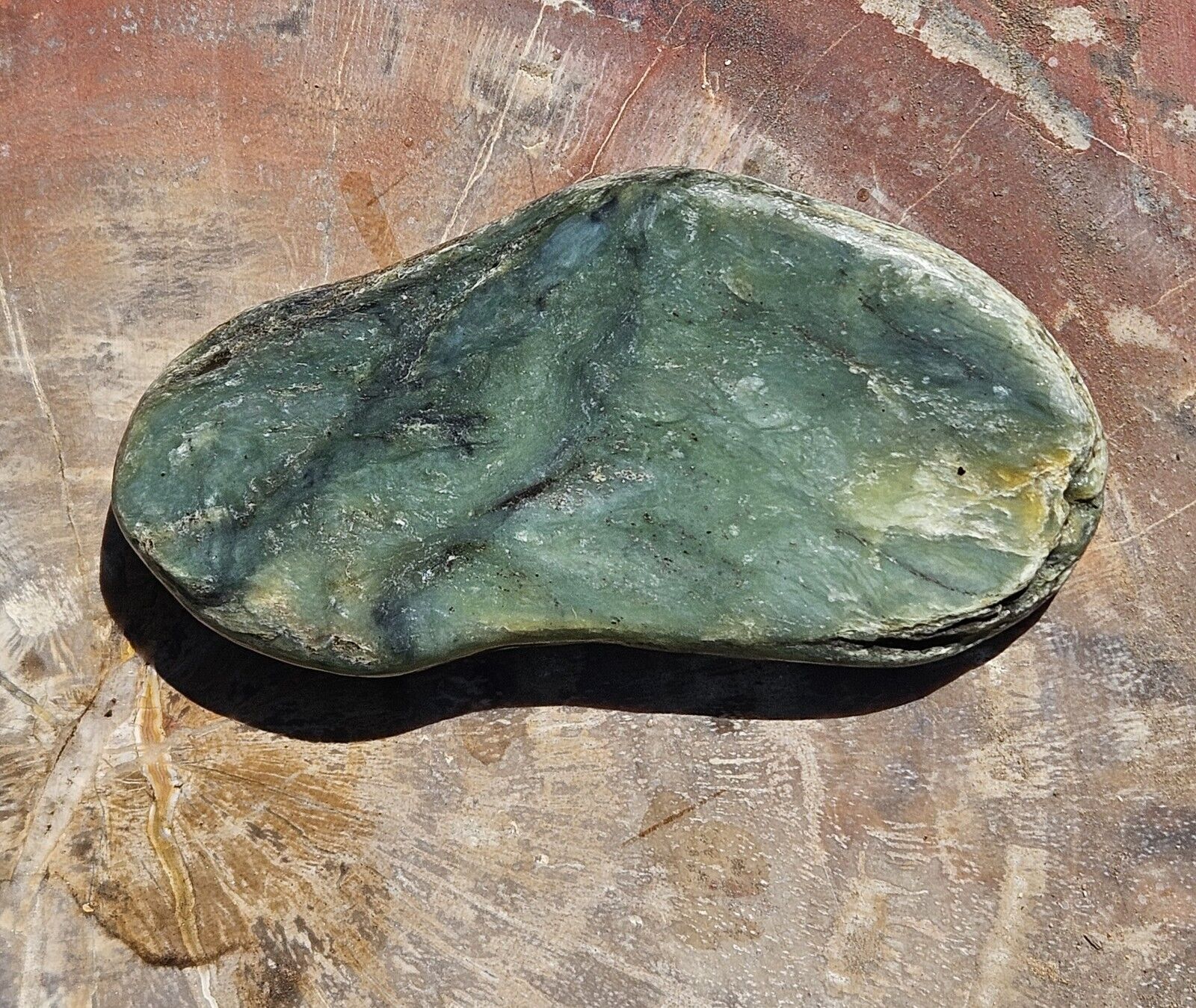  Jade Nephrite Rough Big Sur Willow Creek area California 179 Grams