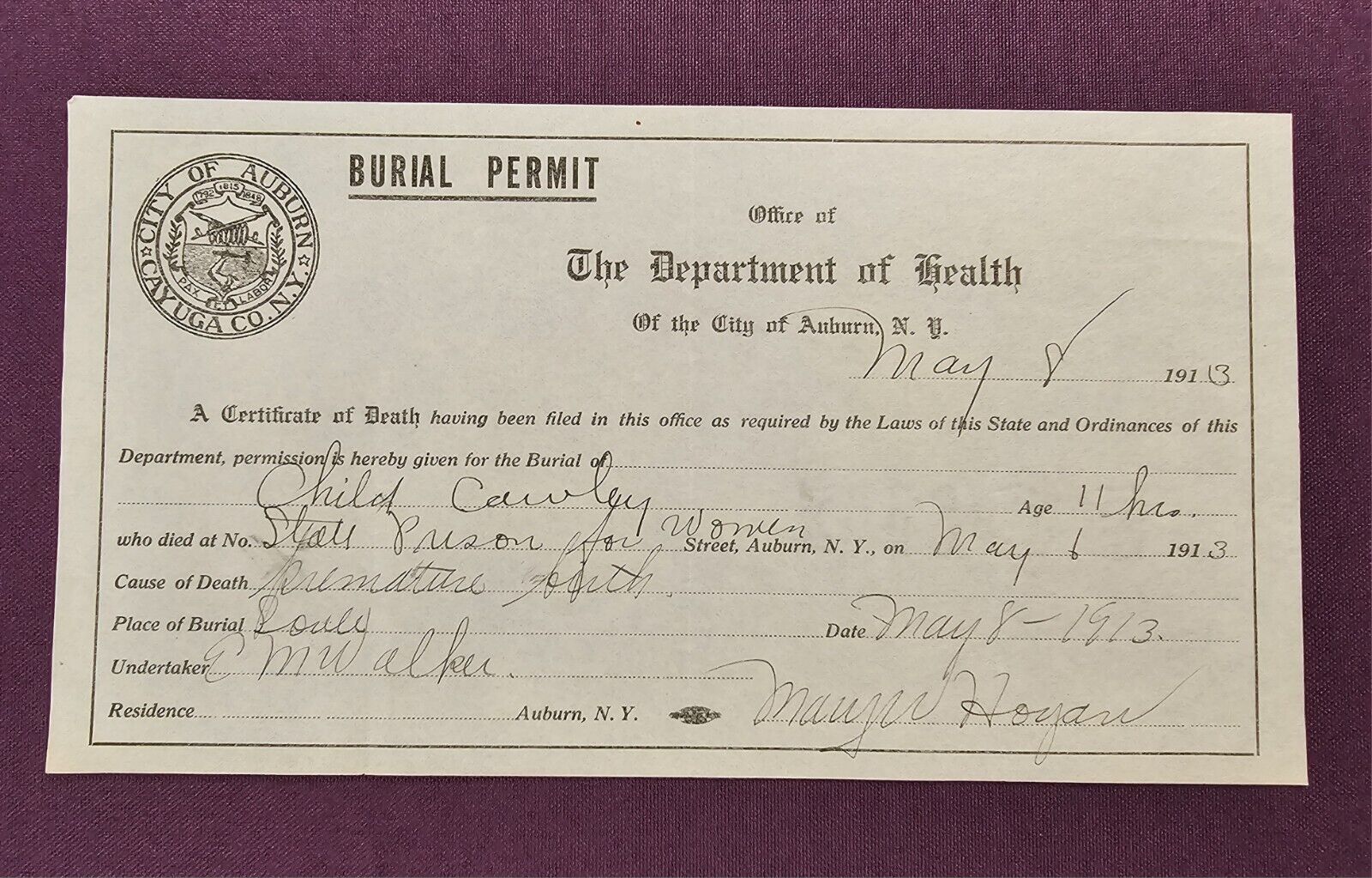 1913 Burial Permit Premature Birth NY State Prison for Women 