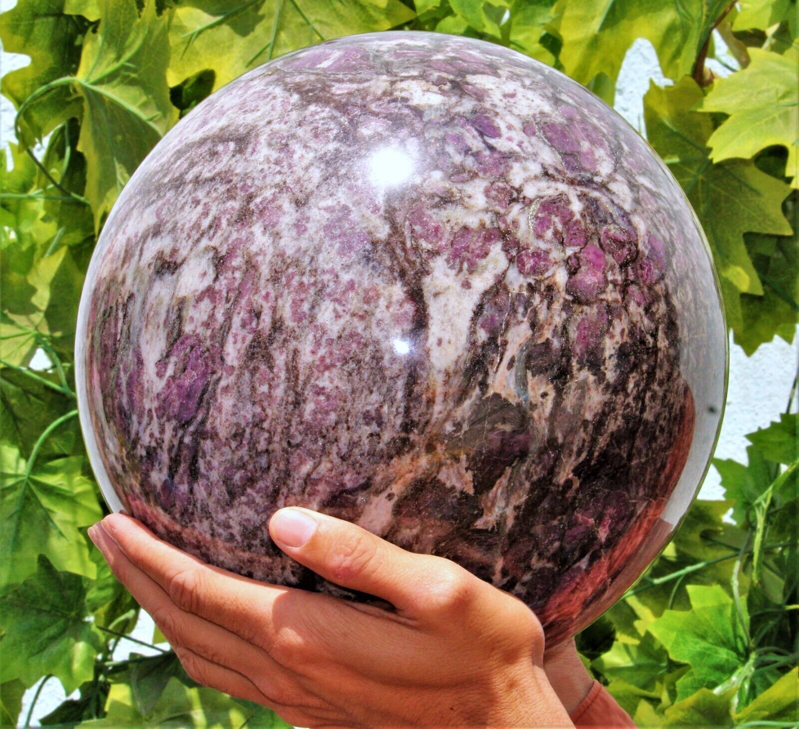 255mm Huge Pink Eudialyte Crystal Healing Chakra Energy Stone Sphere Globe Ball