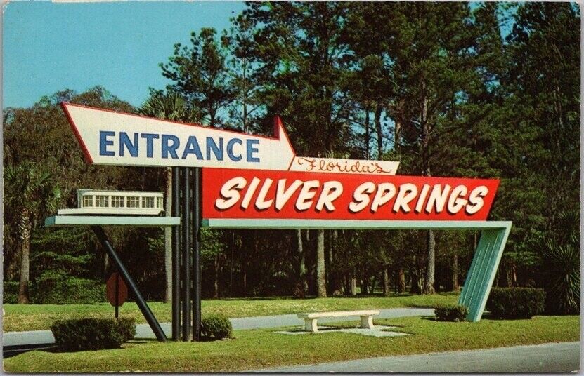 Vintage 1960s SILVER SPRINGS, Florida Postcard Entrance Sign / Chrome Unused