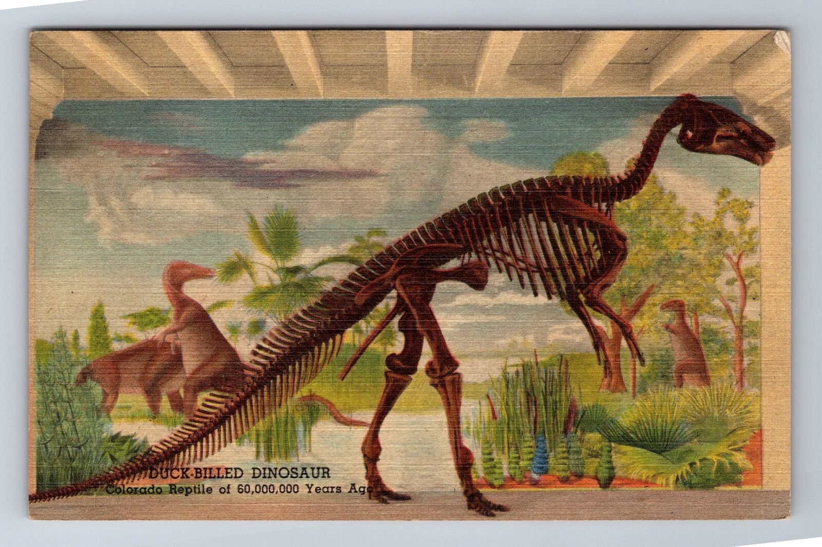 Denver CO-Colorado, History Museum, Duck-Billed Dinosaur, Vintage Postcard