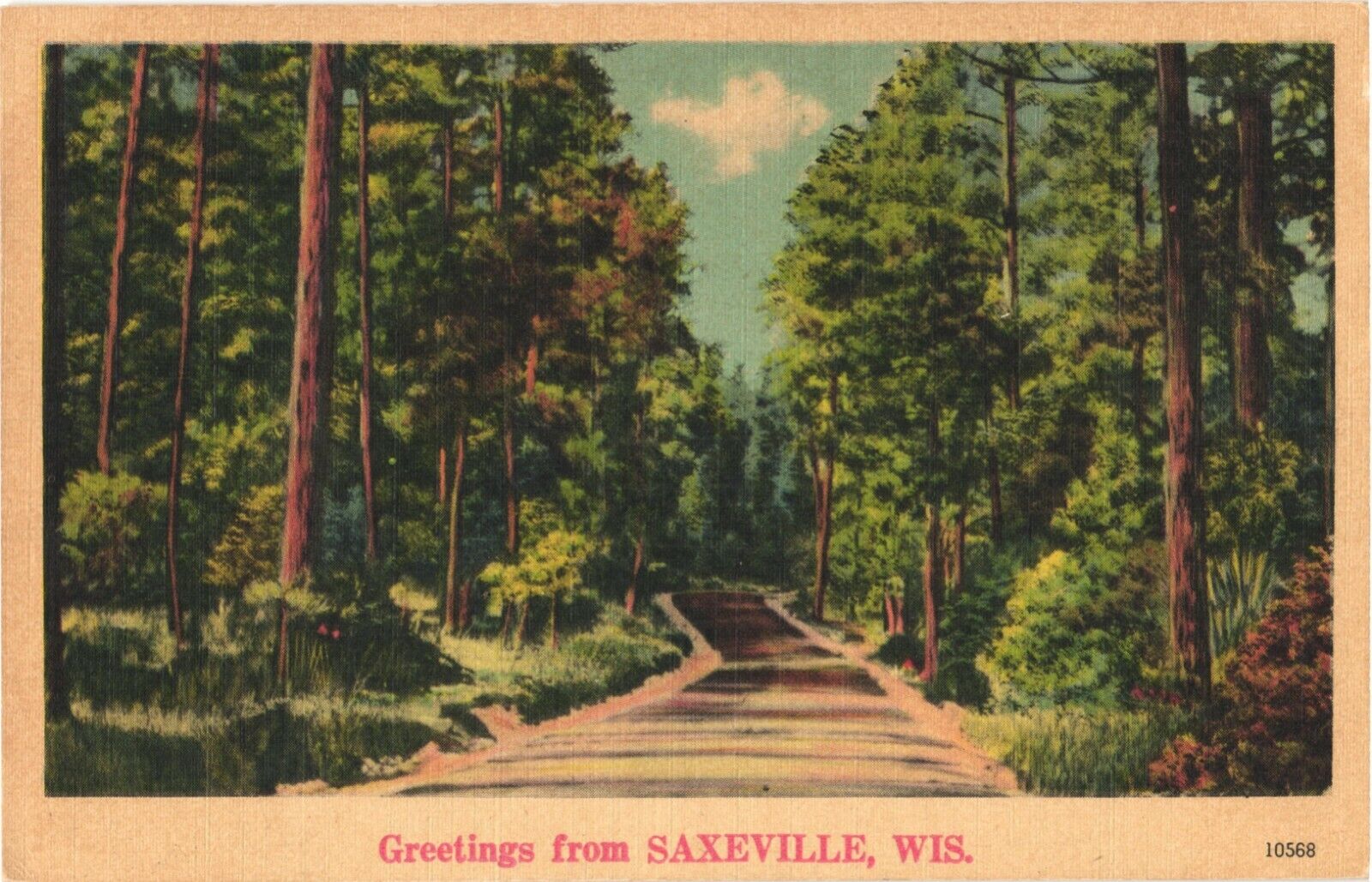 Serene View Of Road Full Of Trees, Greetings From Saxeville, Wisconsin Postcard