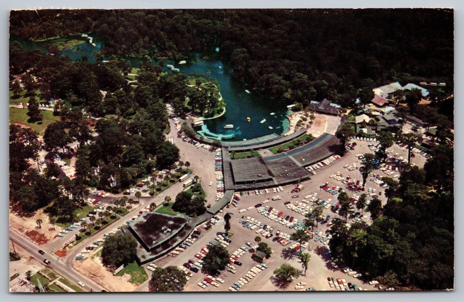 Aerial Photograph of Florida’s Beautiful Silver Springs VTG Postcard-Dukane 1975