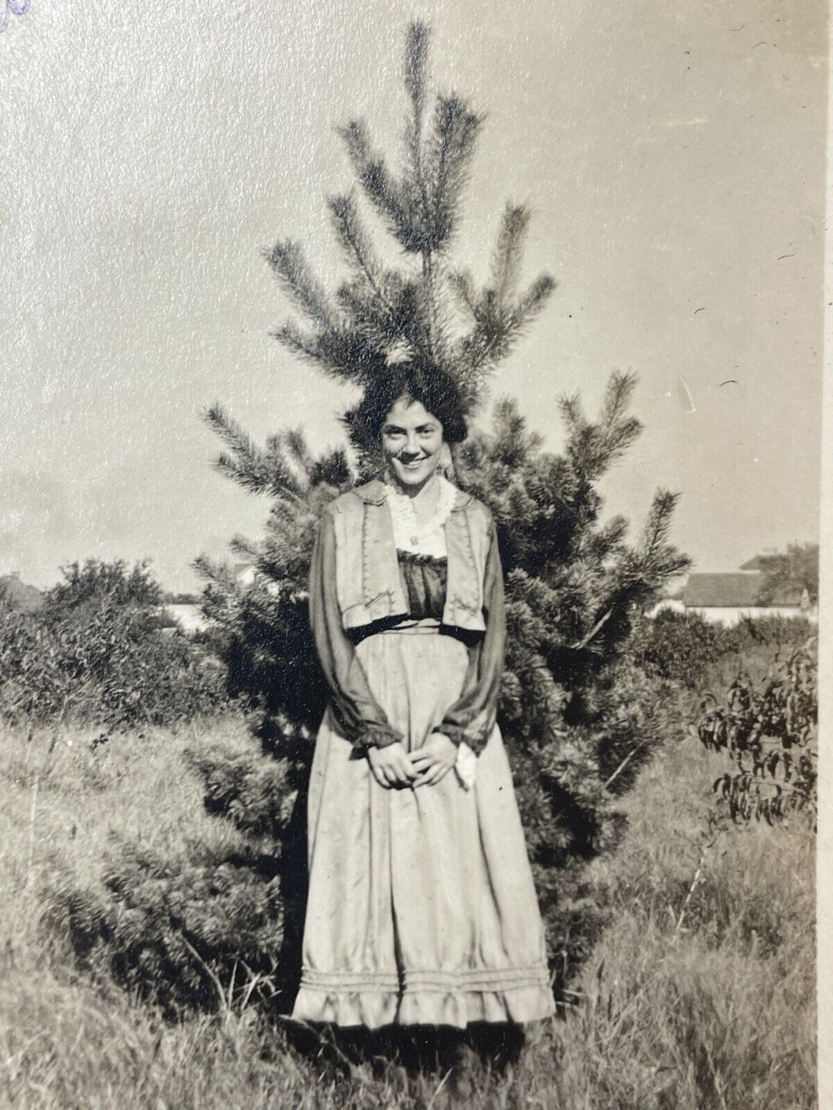 IF Photograph Pretty Posing Country Pine Tree 1910-20\'s Lovely Young Woman