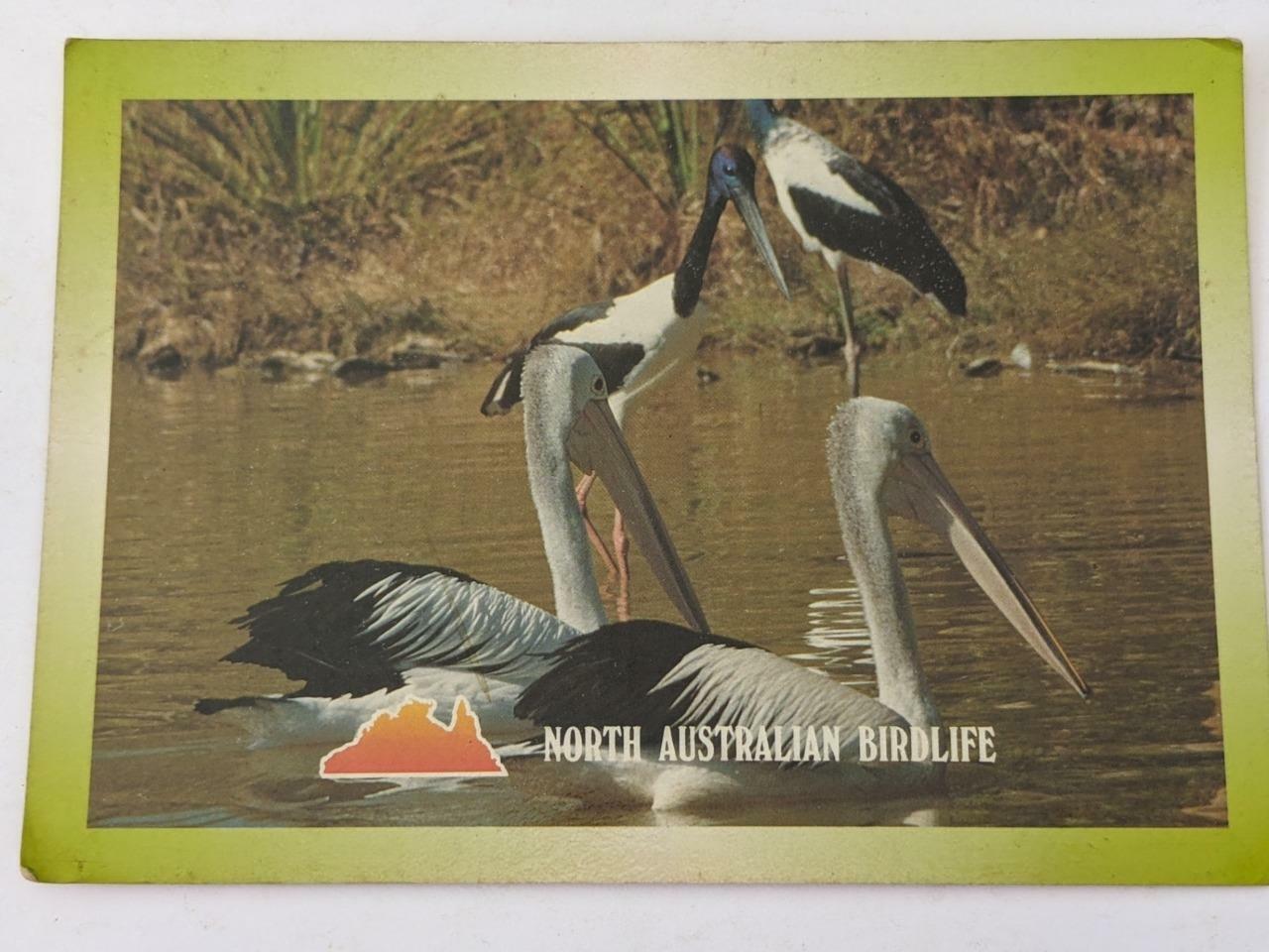 Old post card Postcard -   North Australia Birdlife  Wayne Zerbe