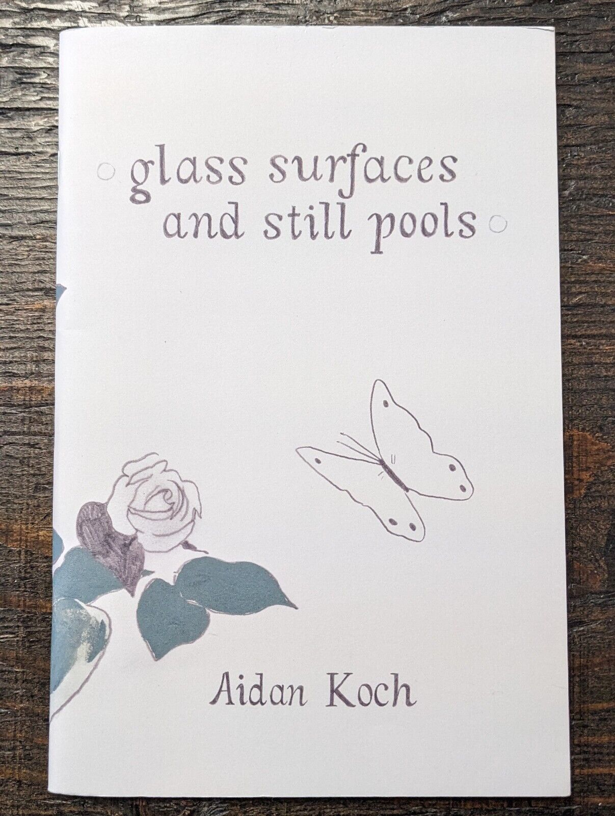 Aidan Koch - glass surfaces and still pools (2015) edition of 250