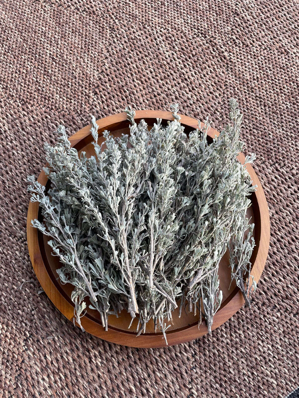 Fresh Cut Artemisia Tridentata Big Sagebrush Wild Native Organic SMUDGING 8oz