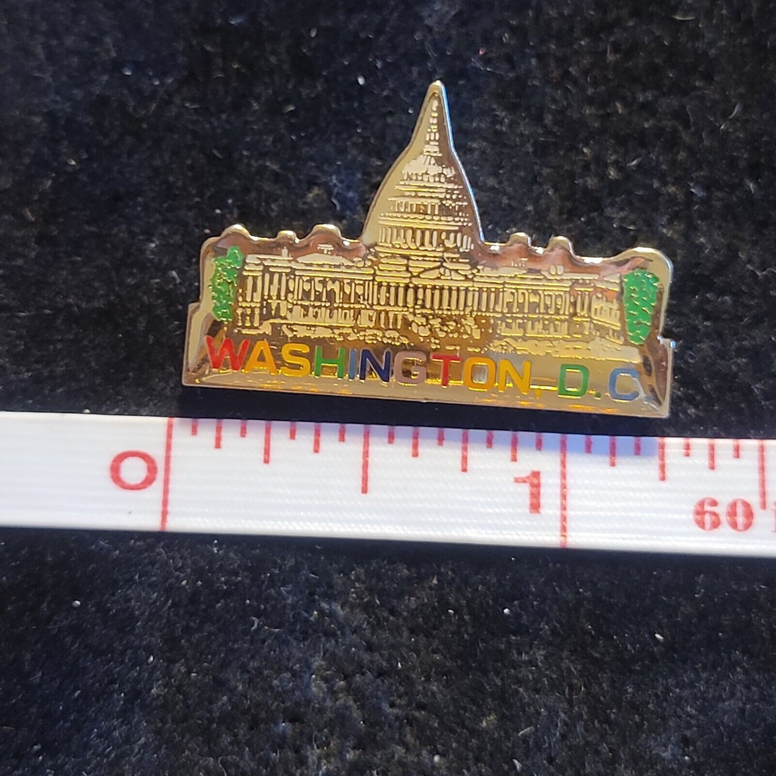 Washington DC Capitol Souvenir State Lapel Pin Hat Vest Tie Tack resin gold tone