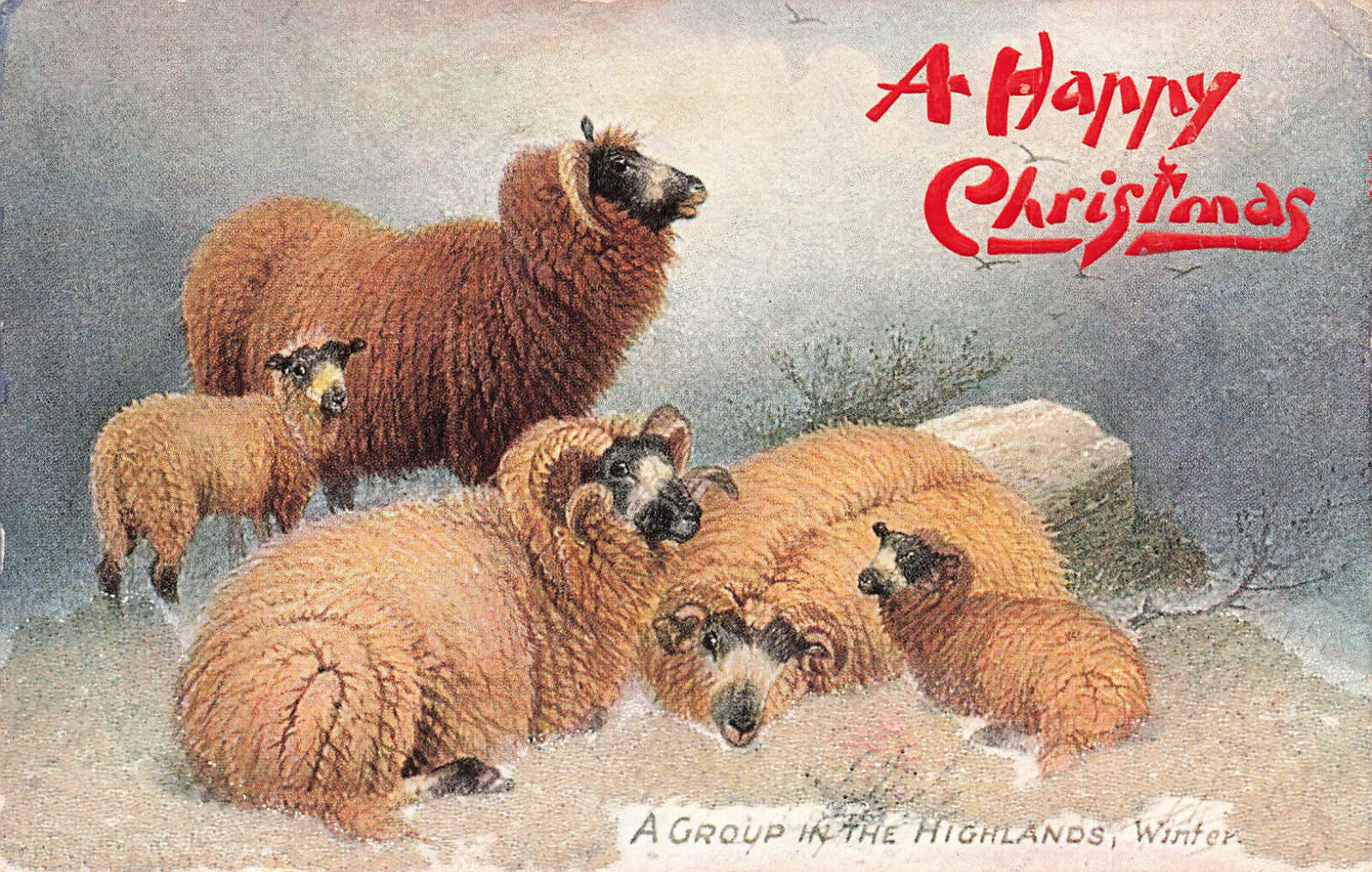 VINTAGE TUCK CHRISTMAS POSTCARD HIGHLAND SHEEP IN GLASS BEAD GLITTER SNOW 110623
