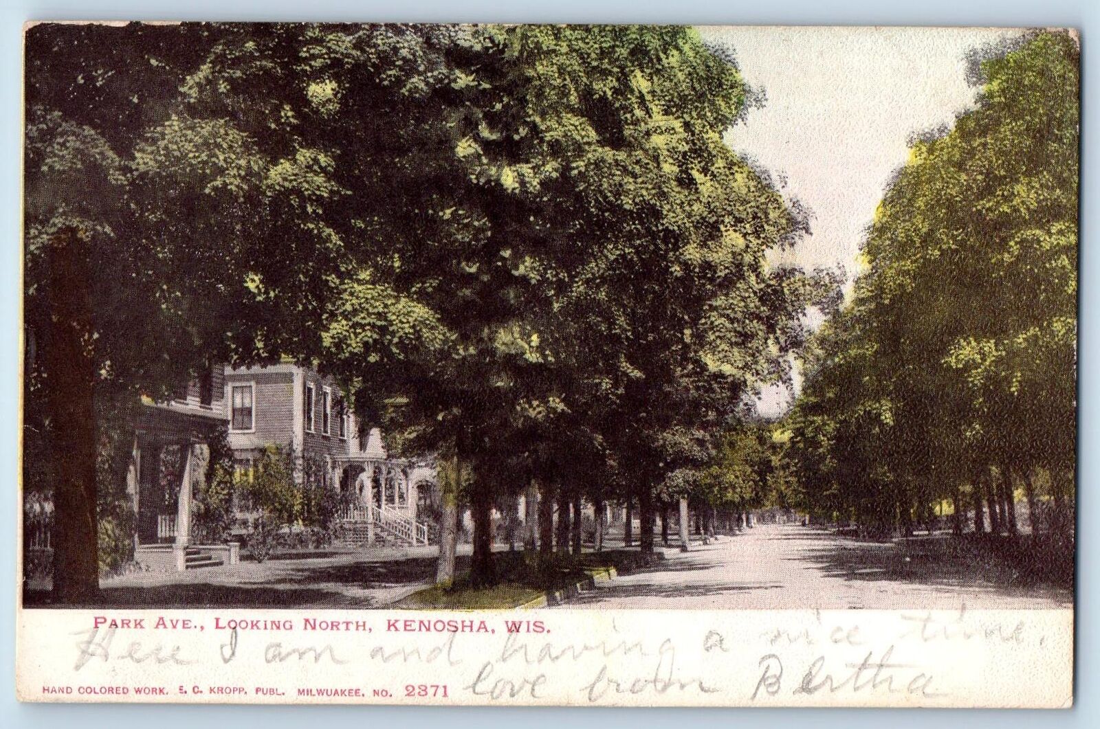 1906 Park Avenue Looking North Residential Area Trees Kenosha Wisconsin Postcard